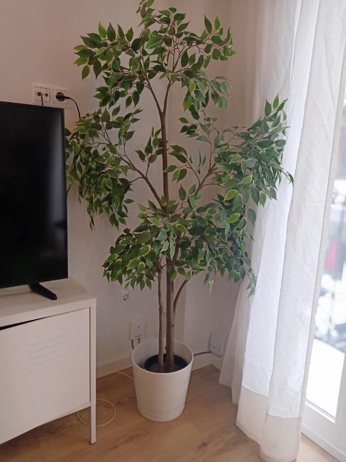 Midtown Sweet Home Alicante Extérieur photo